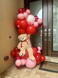 Teddy Bear Flying