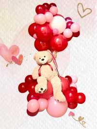 Teddy is Flying